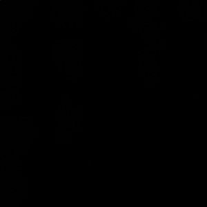 Meet your Posher, Ali